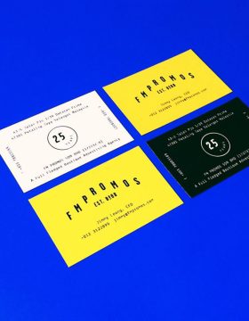 Project Preview