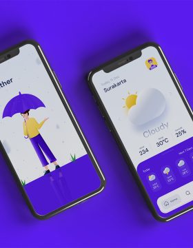 Project Preview