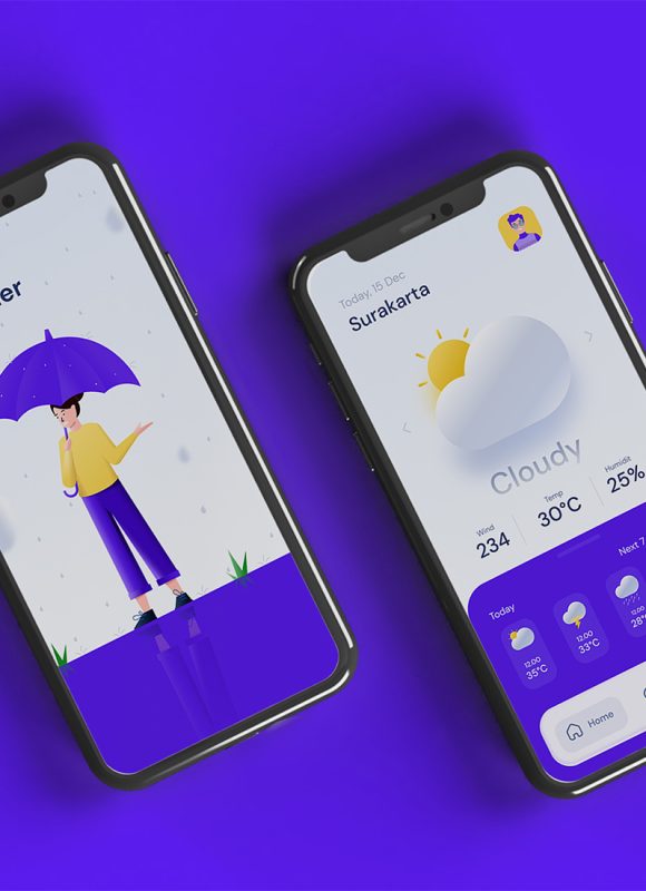 Project Preview